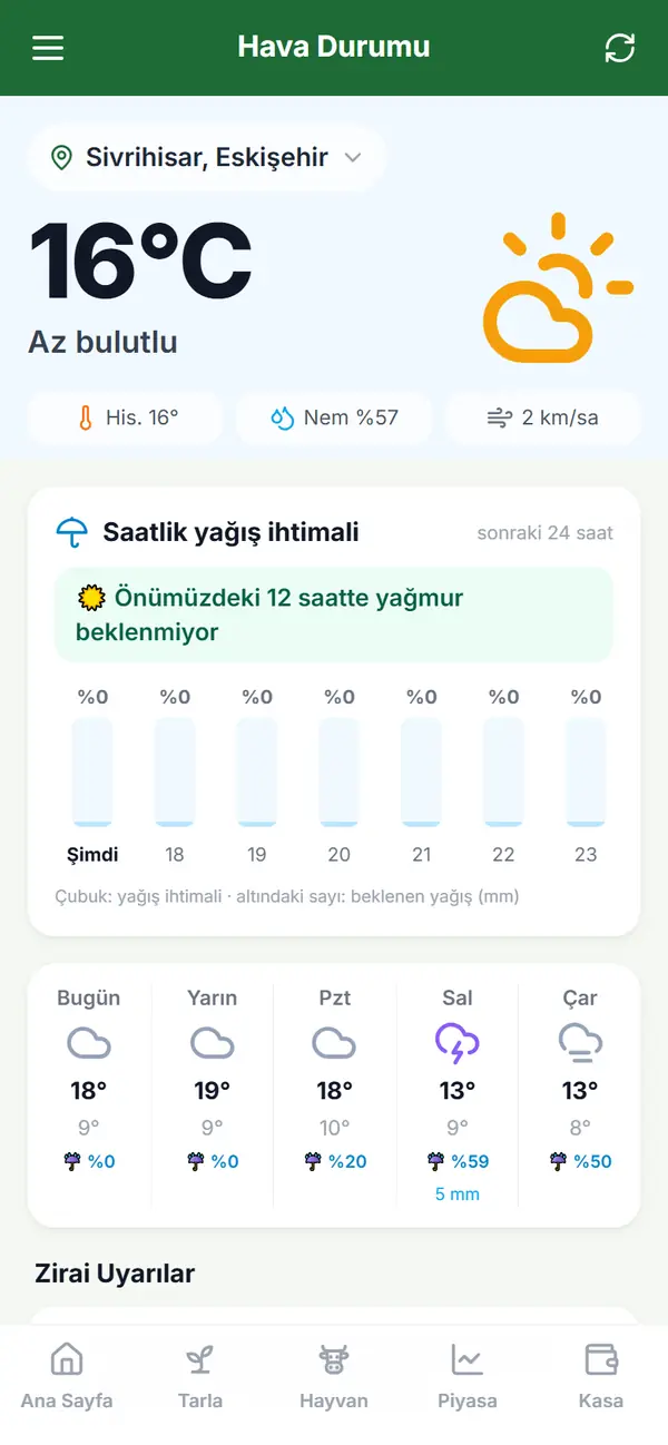 Hava durumu ekranı: anlık sıcaklık, saatlik yağış ihtimali ve beş günlük tahmin
